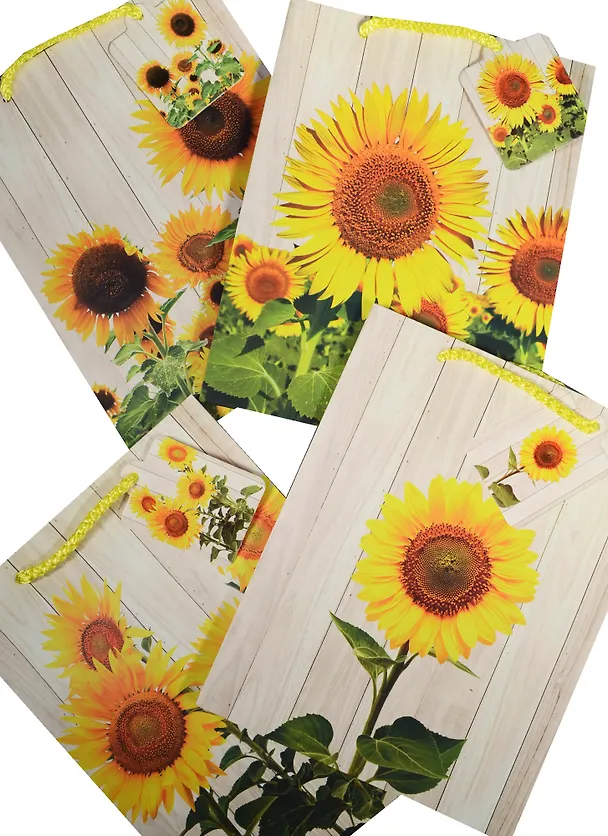 Пакет подарочный бумажный А5 "Sunflower" 241789 — 2