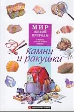 Камни и ракушки
