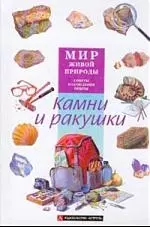 Камни и ракушки — 527704 — 1