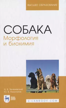 Собака. Морфология и биохимия — 2819749 — 1