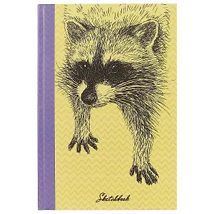 Скетчбук «Любопытный енот», 80 листов, А5+