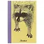 Скетчбук «Любопытный енот», 80 листов, А5+ — 248873 — 1
