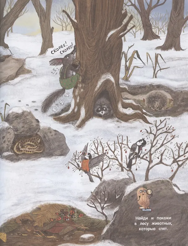 Книга Кто украл орехи? (Чон Хань) — 5