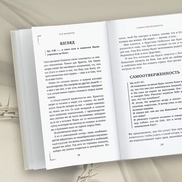 Книга Господь мой и Бог мой (Дарья Сивашенкова) — 9