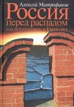 Россия перед распадом или вступлением в Евросоюз — 2047052 — 1