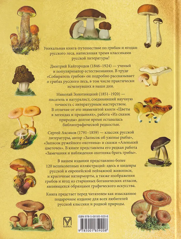 Книга Русский лес. Грибы и ягоды () — 2