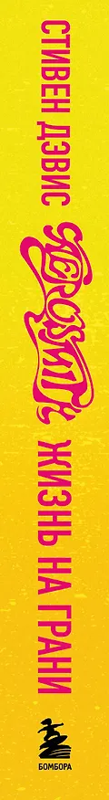 Книга Жизнь на грани. Aerosmith (Стивен Дэвис, Аэросмит) — 3
