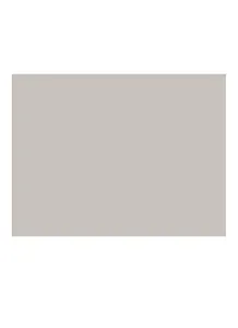Бумага для пастели 50*65 "Mi-Teintes" 160г/м2 №335 белый, Canson