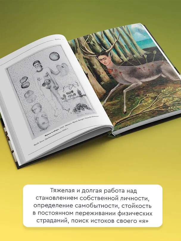 Книга Фрида Кало () — 5