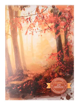 Планшет для акварели Academy Style, А4, 20 листов, на склейке, в ассортименте 323267