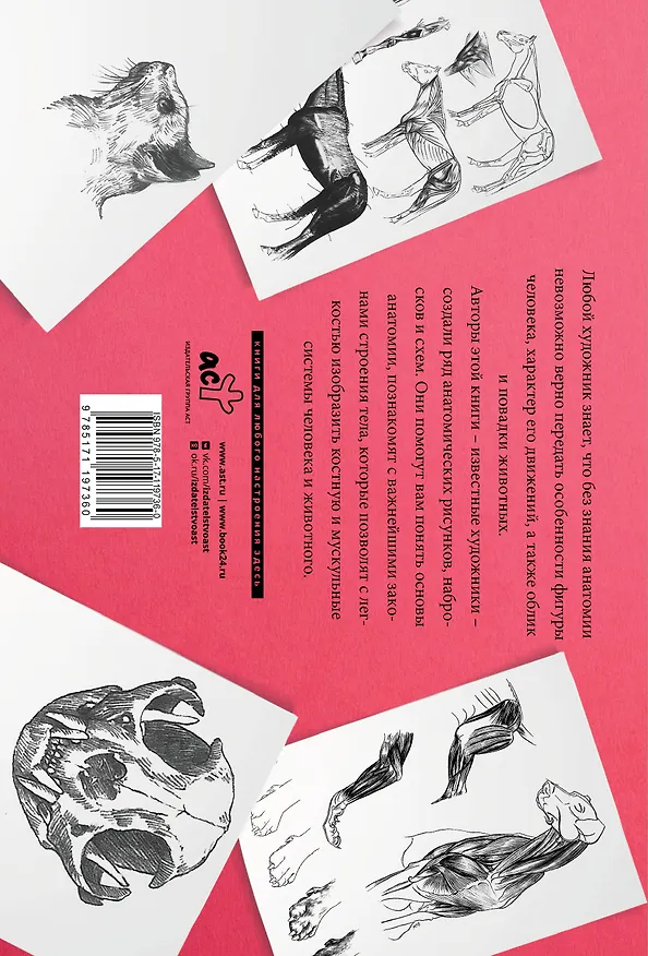 Книга Анатомия для художников. Альбом для скетчинга (Уолтер Томас Фостер) — 2