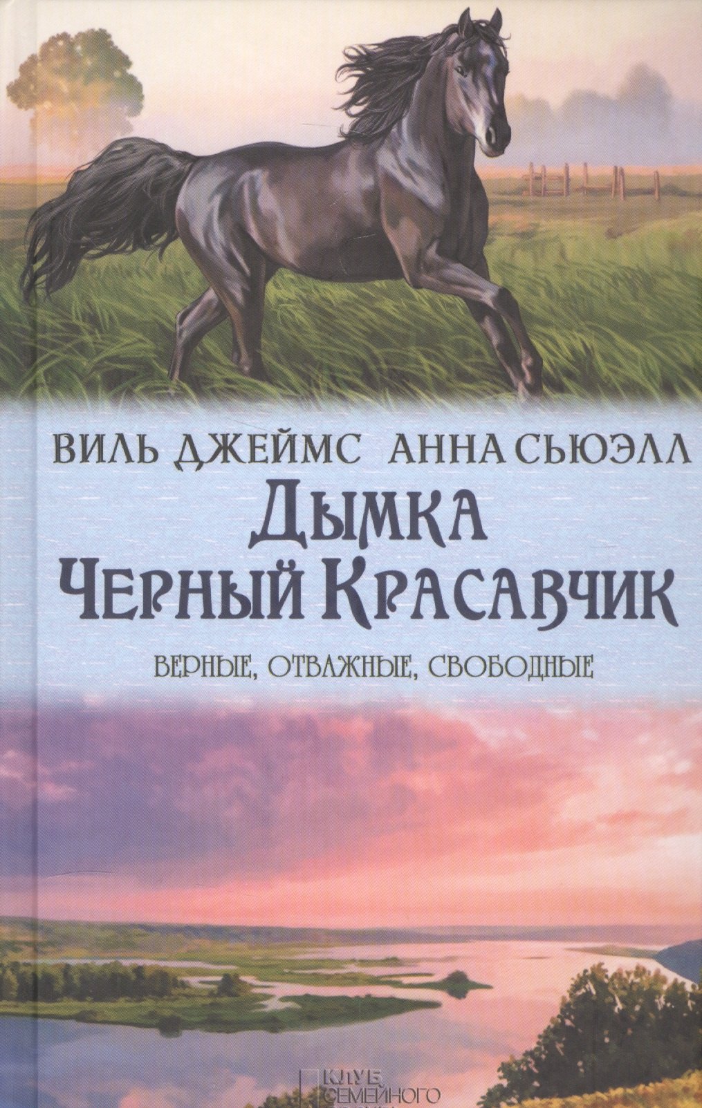 

Дымка. Черный Красавчик