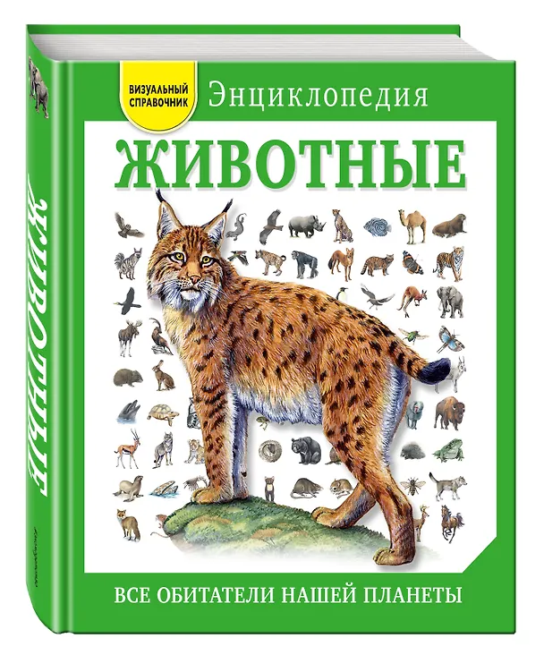 Книга Животные. Все обитатели нашей планеты (Дэвид Элдертон) — 4