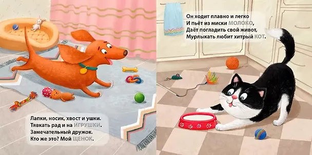 Книга Домашние животные. Загадки-рифмы (Евгений Сосновский) — 2