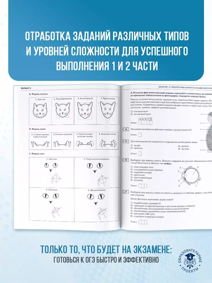 ОГЭ-2025. Биология. 10 тренировочных вариантов экзаменационных работ для  подготовки к основному государственному экзамену (А.В. Банколе, Павел  Скворцов) - купить книгу с доставкой в интернет-магазине «Читай-город».  ISBN: 978-5-17-164895-4