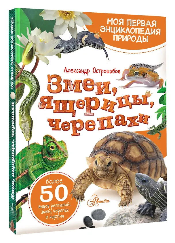 Книга Змеи, ящерицы, черепахи (Александр Острошабов) — 4