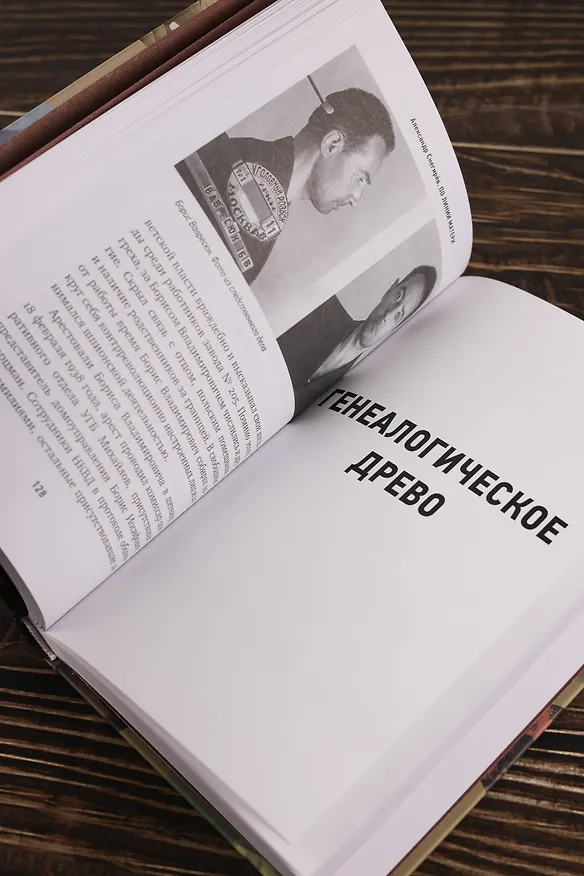 Книга По линии матери (Александр Снегирёв) — 13