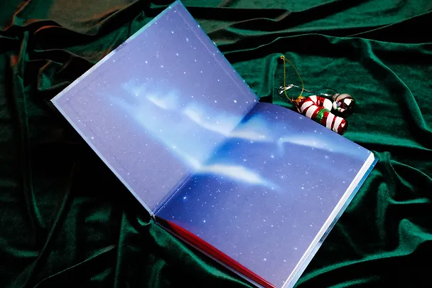 Книга Пони Колокольчик. Чудеса на Северном полюсе (Аннетта Мозер) — 8