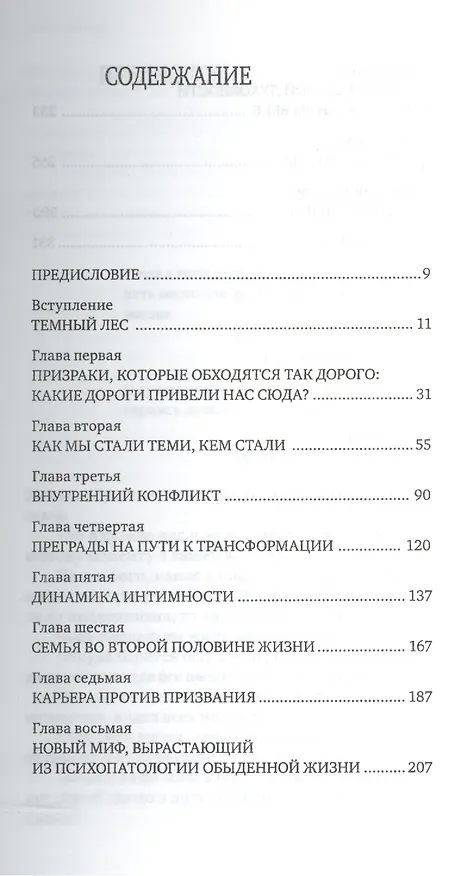 Книга Обретение смысла во второй половине жизни: Как наконец стать по-настоящему взрослым (Джеймс Холлис) — 2