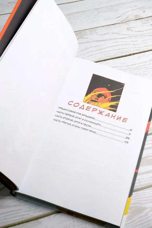 451° по Фаренгейту. Графический роман 2988791 — 11