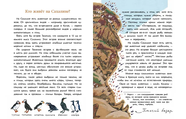 Книга Сахалин. Самый большой остров в России (Анастасия Кудряшова) — 4