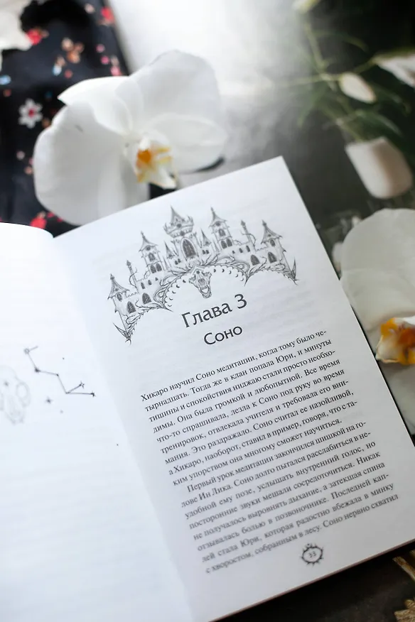 Книга Пророчество тьмы (Анви Рид) — 11