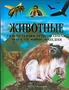 Книга Животные. Новая иллюстрированная детская энциклопедия (Тина Канделаки)