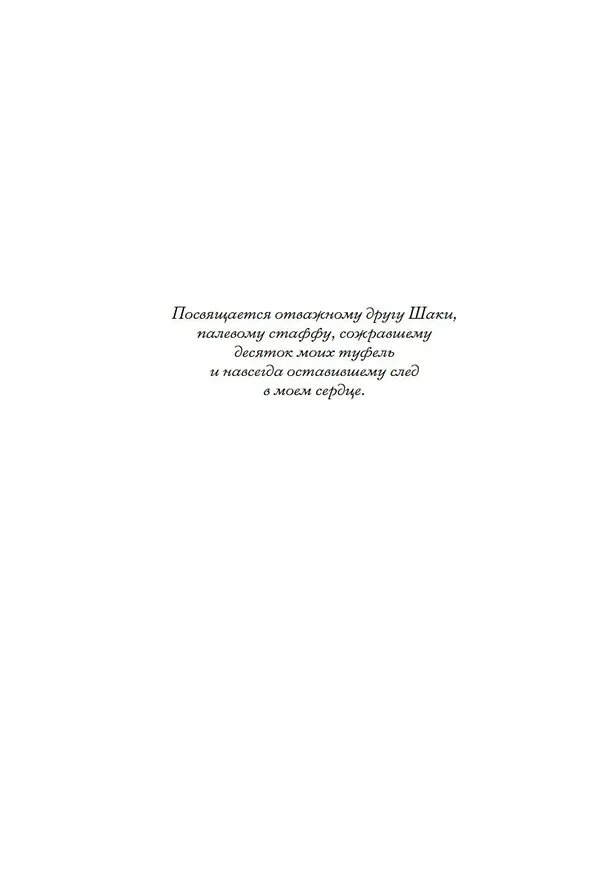 Книга Совершенство (Татьяна Миненкова) — 11