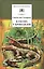 В гостях у крокодилов — 1666938 — 1