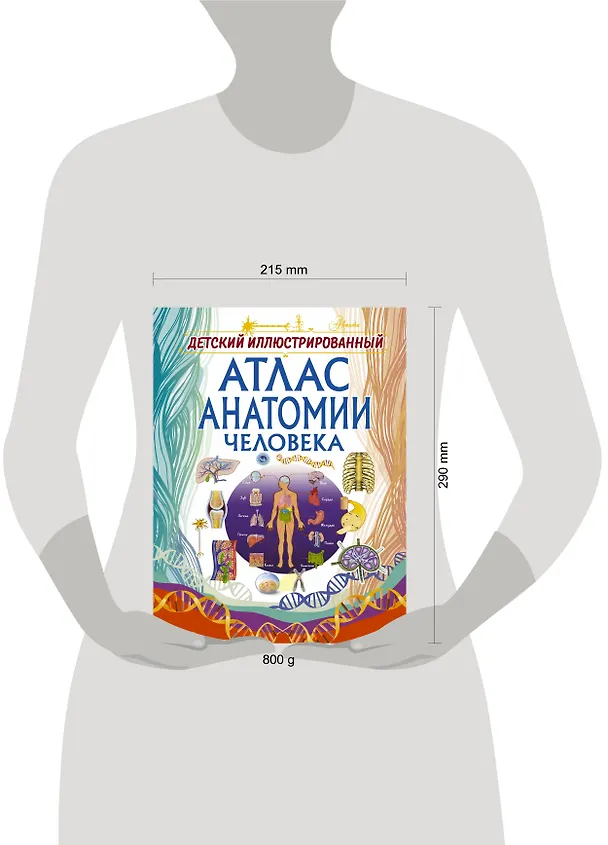Книга Детский иллюстрированный атлас анатомии человека (Анна Спектор) — 4