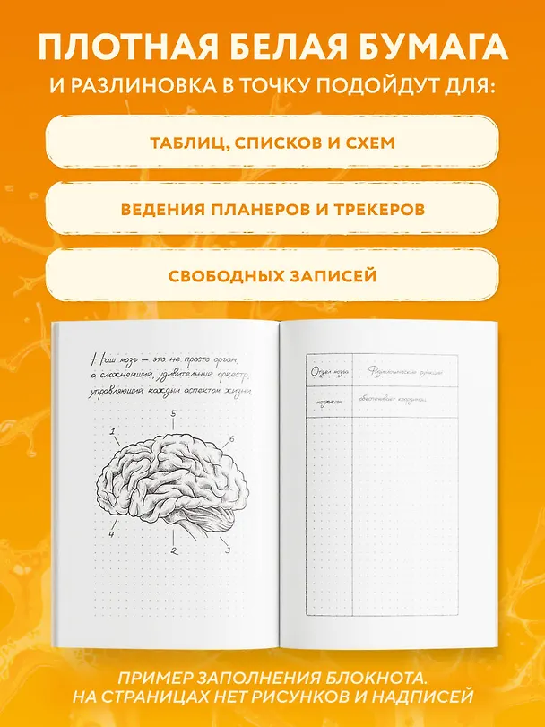 Книга для записей А5 64л тчк. "Последняя нервная клетка. Блокнот анатомический" 3044282 — 4