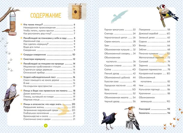 Книга Птицы (Мишель Люшези) — 5