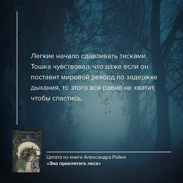 Книга Эхо проклятого леса (Александр Райн) — 10