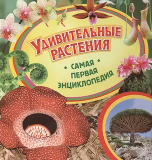 Удивительные растения — 2433153 — 1