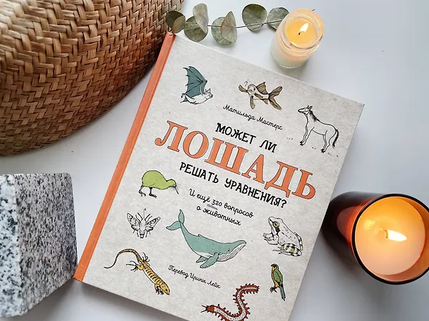 Книга Может ли лошадь решать уравнения? И ещё 320 вопросов о животных (Матильда Мастерс) — 8