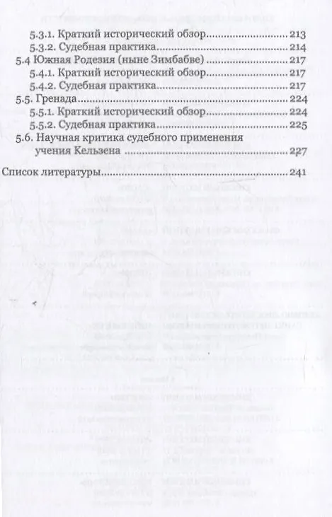 Книга Юридическая концепция революции и судебное применение доктрины Г. Кельзена (Артур Гамбарян, Ваэ Дабагян) — 6