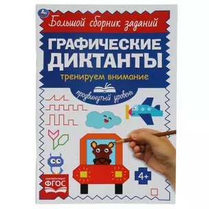 Графические диктанты. Тренируем внимание. Продвинутый уровень — 2992319 — 1