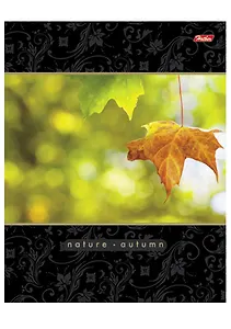 Тетрадь 96л кл. "Осень" спираль, выб.лак, ассорти, Hatber