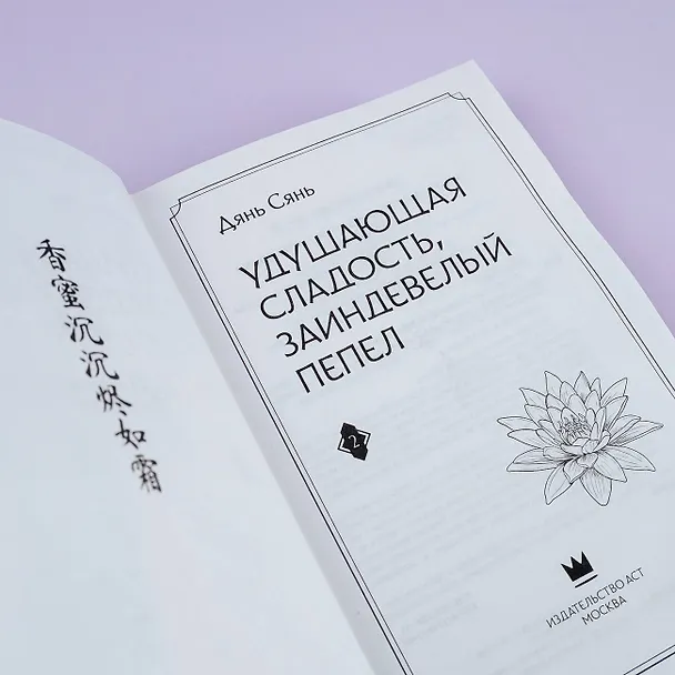 Книга Удушающая сладость, заиндевелый пепел. Книга 2 (Дянь Сянь) — 9