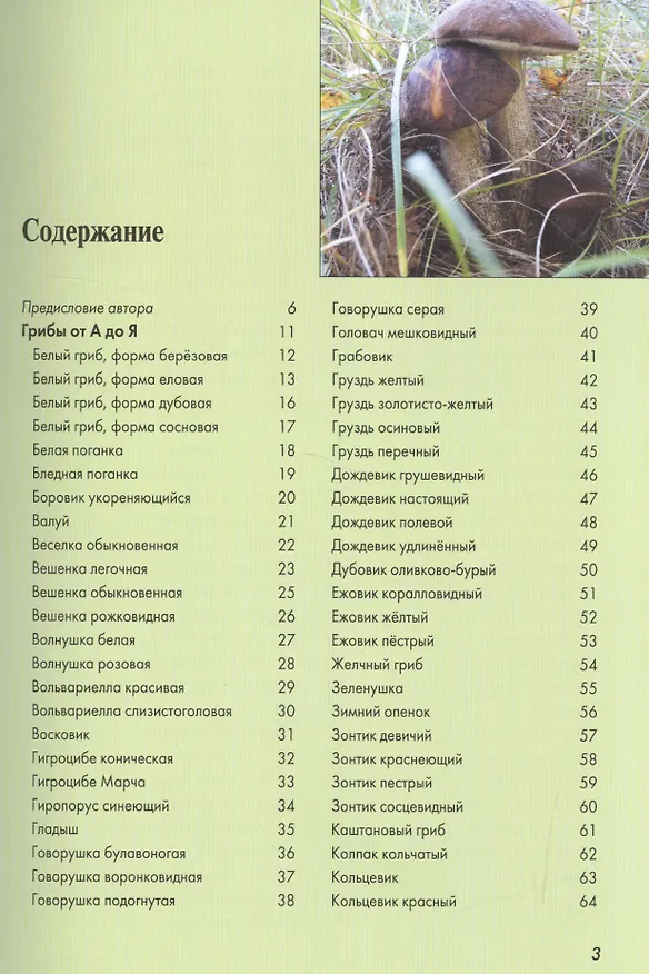 Книга Атлас-определитель.Грибы средней полосы России (Федор Карпов) — 2