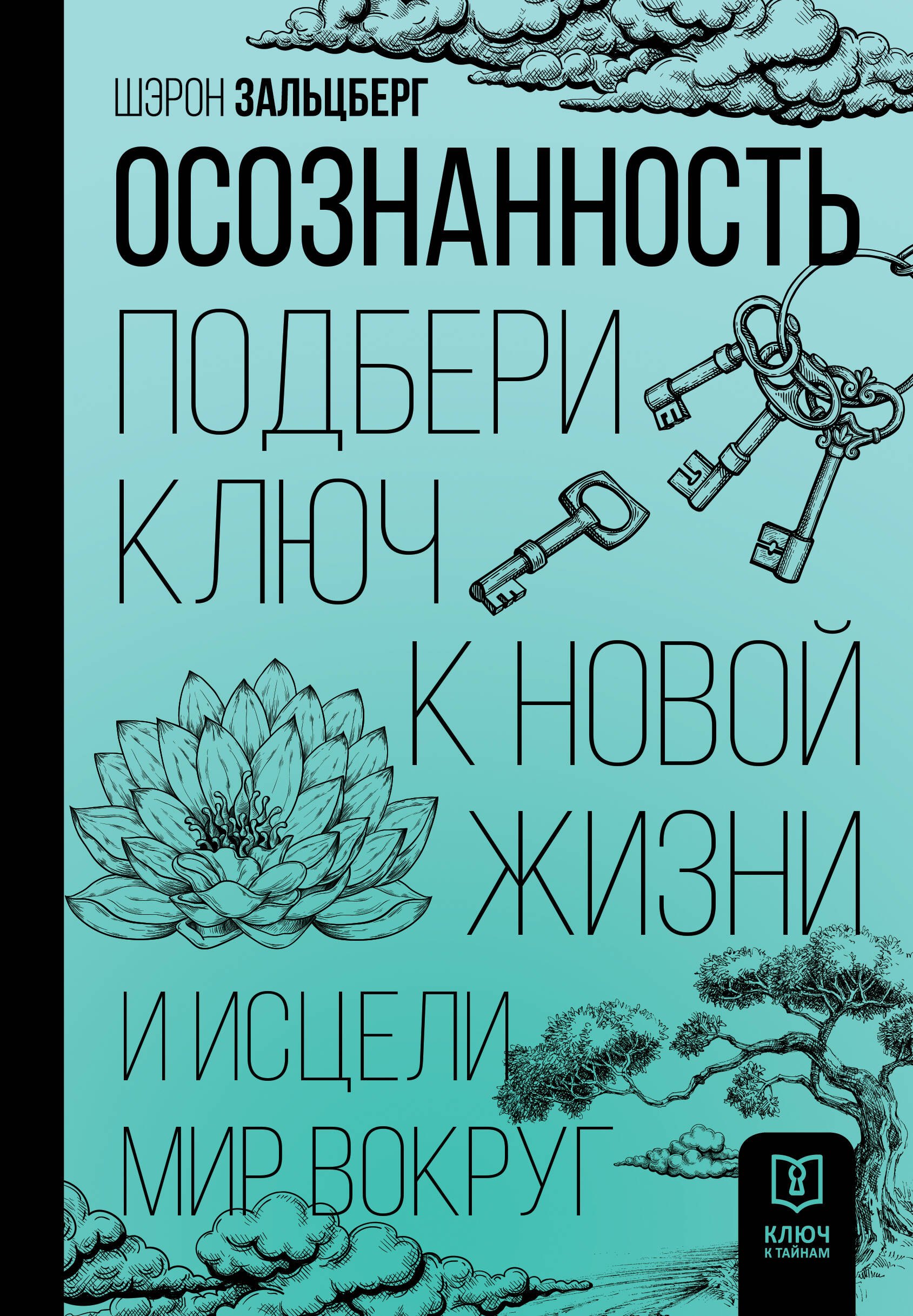 

Осознанность. Подбери ключ к новой жизни и исцели мир вокруг