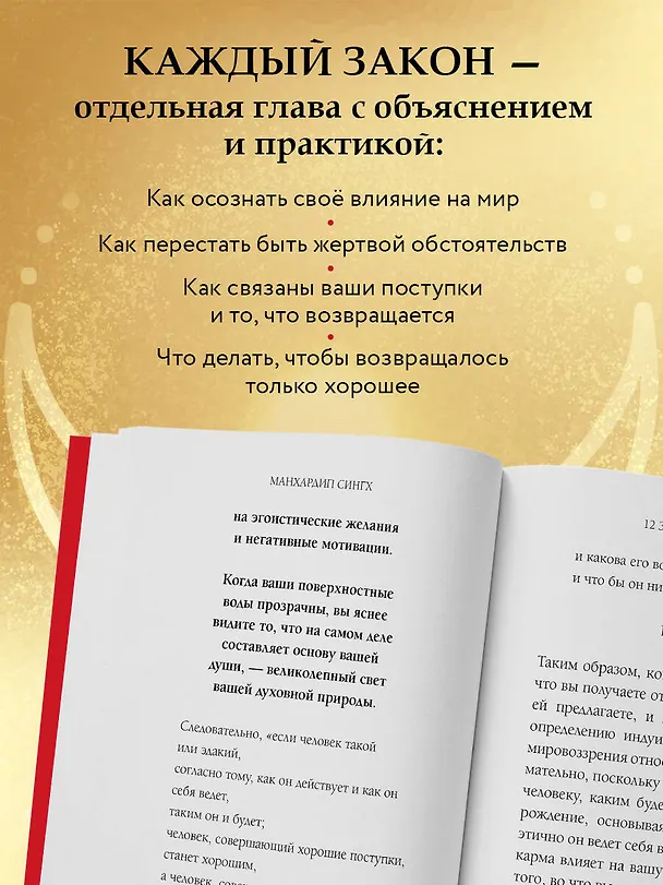 Книга 12 Законов кармы (Манхардип Сингх) — 6