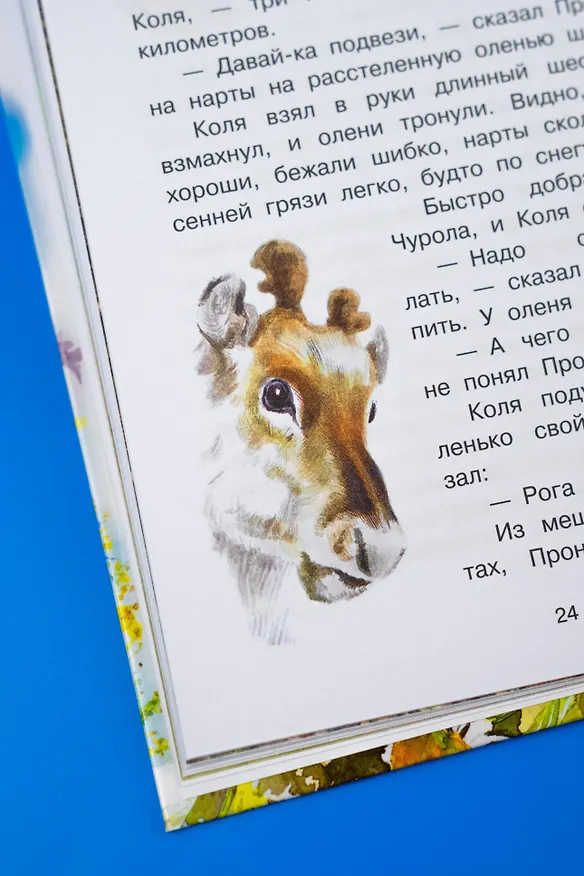 Книга Жеребенок (Юрий Коваль) — 15