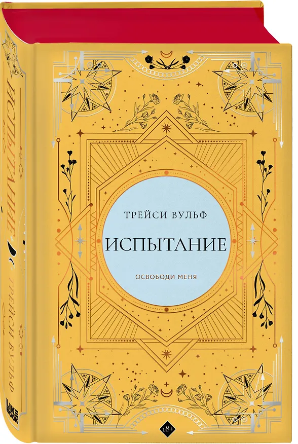 Книга Испытание (Трейси Вульф) — 4