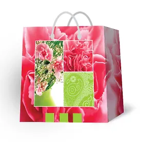 Пакет подарочный пластик А4 30*30*10 жен.тематика, ассорти PBM, МегаМАГ