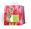 Пакет подарочный пластик А4 30*30*10 жен.тематика, ассорти PBM, МегаМАГ — 221676 — 1