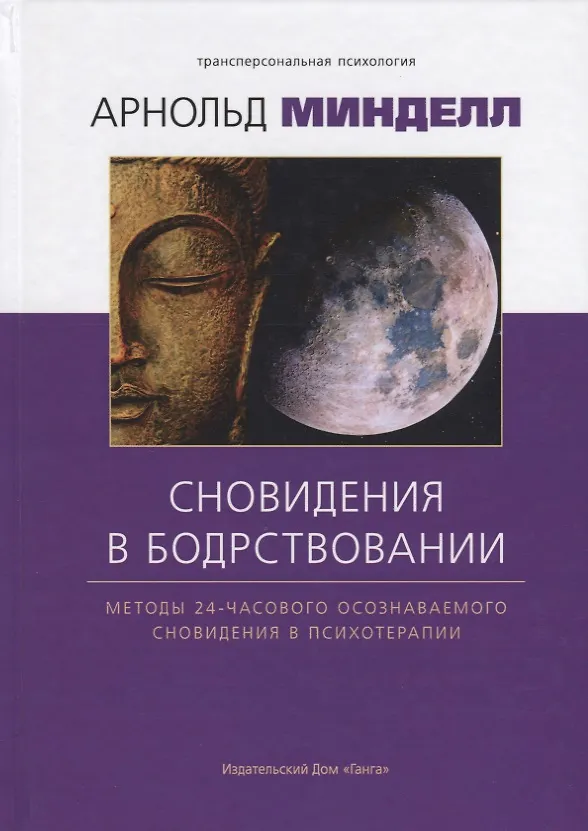 Книга Сновидение в бодрствовании: методы 24-часового осознаваемого сновидения в психотерапии (Арнольд Минделл) — 1