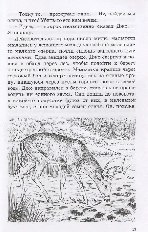 Книга Скауты в лесах () — 5