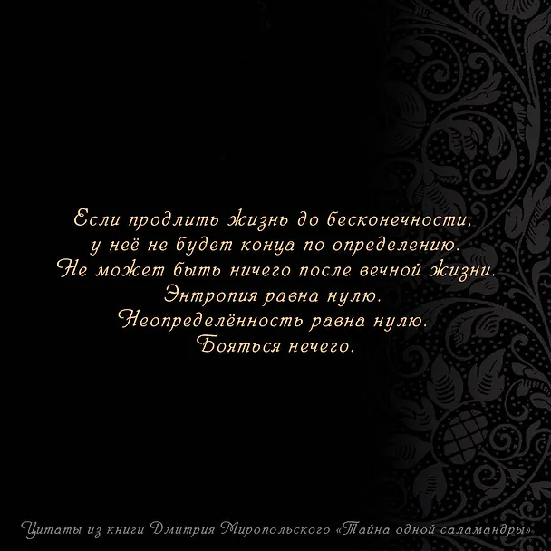 Книга Тайна одной саламандры (Дмитрий Миропольский) — 5