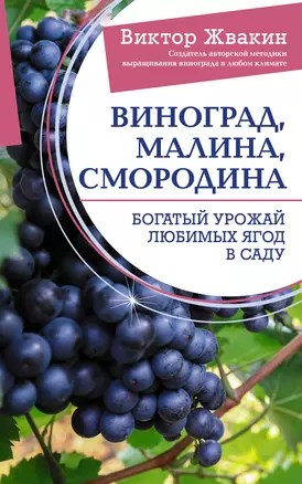 Виноград, малина, смородина. Богатый урожай любимых ягод в саду — 3017410 — 1